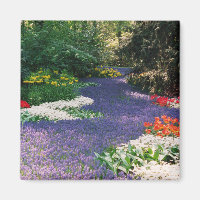 Trauben-Hyacinth-Fluss Magnet