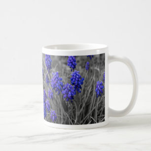 Trauben-Hyazinthen-Familie Wählen Sie eine Tasse K