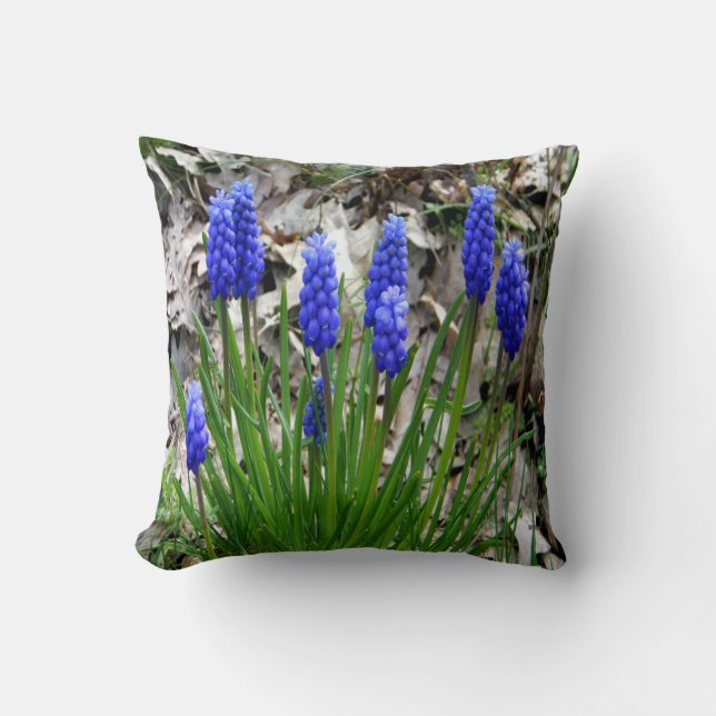 Trauben-Hyazinthen.... Kissen (Vorderseite)