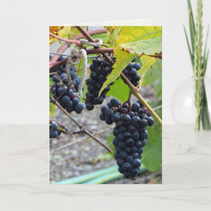 Trauben in einem Weingut Karte