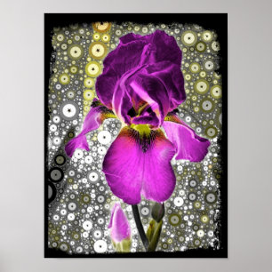 Trauben-Iris-Plakat Poster
