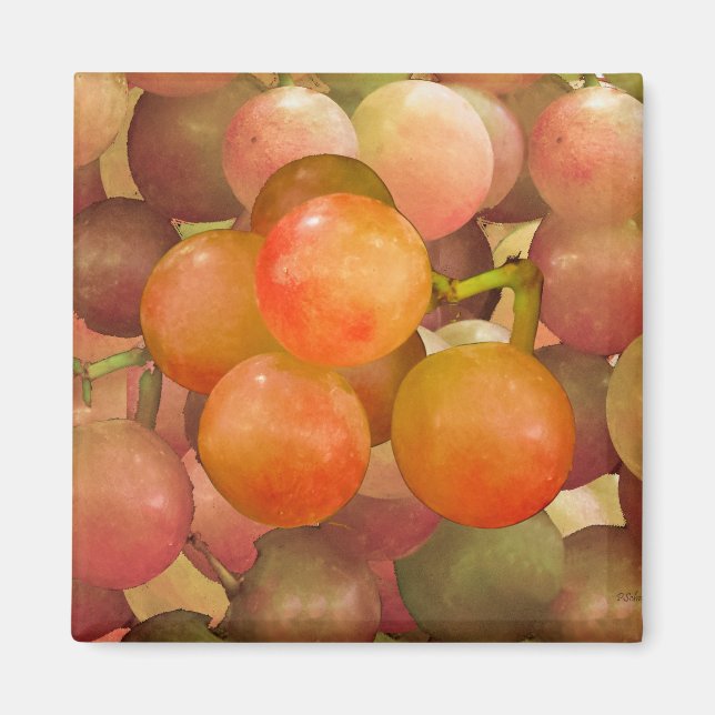 Trauben ohne Wrath Magnet (Vorne)