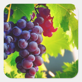 Trauben Quadratischer Aufkleber