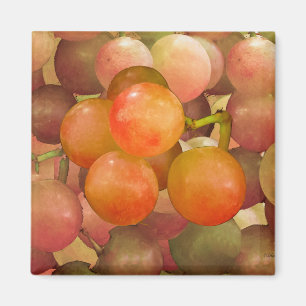 Trauben UNO-Zorn Magnet