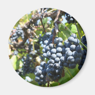 Trauben-Weinberg-John-15:5 Magnet