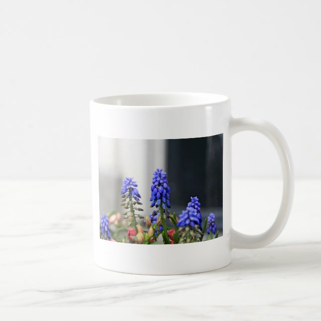 Traubenhyakinth Kaffeetasse (Rechts)