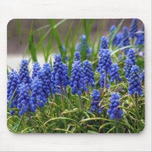 TraubenHyakinth Mousepad