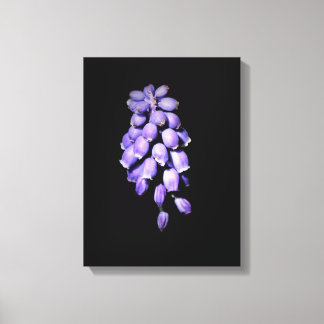 Traubenhyazinthen-Blumenleinwanddruck Leinwanddruck