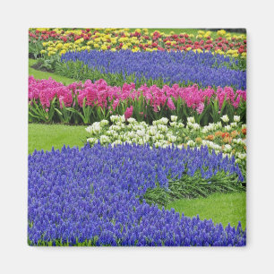 Traubenhyazinthen-, Tulpen- und 3-Muster Magnet