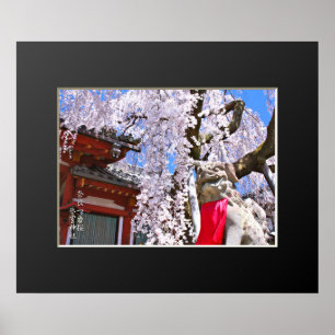 Trauer-Kirsche ('Nara Ichiban-Zakura') Poster