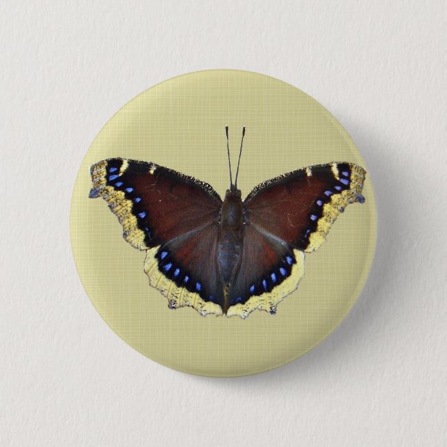 Trauer-Mantel-Schmetterling - Nymphalis antiopa Button (Vorderseite)