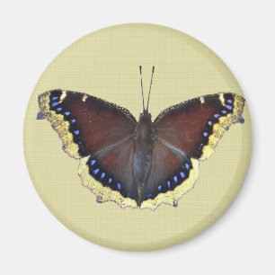 Trauer-Mantel-Schmetterling - Nymphalis antiopa Magnet