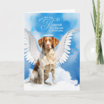 Trauer um Brittany Spaniel Hund Haustier Mitgefühl
