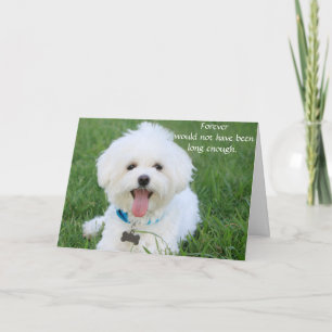 Trauerkarte für Hunde mit Foto zur Erinnerung Karte