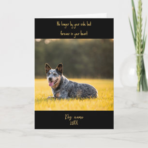 Trauerkarte für Hunde mit Foto zur Erinnerung Karte