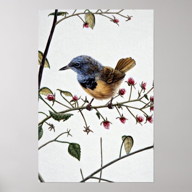 Trauerlauber Poster (Vorne)