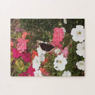 Trauermantel Schmetterling