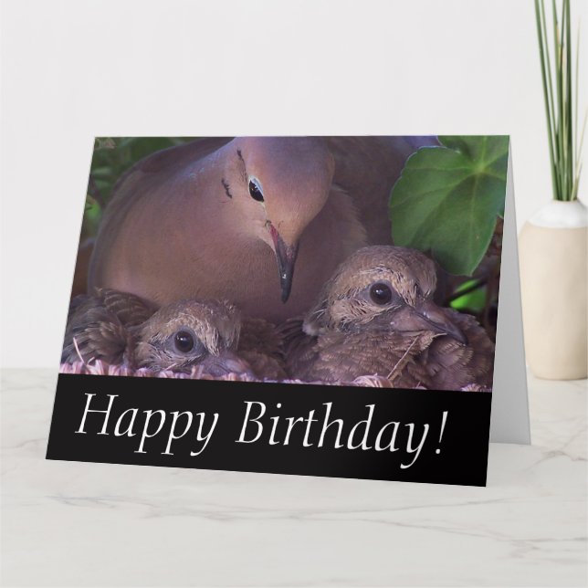 Trauernde Dove Baby Birds Wildtiere Karte (Vorderseite)