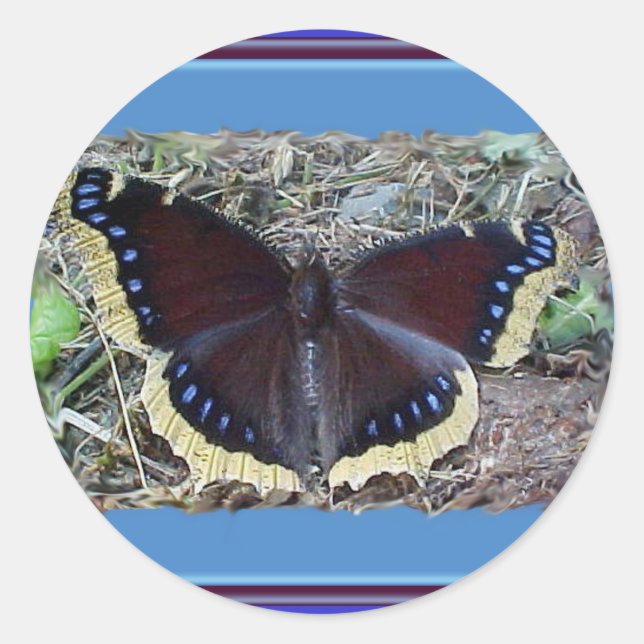 Trauernde Kleiderschmetterlingskleber Runder Aufkleber (Vorderseite)