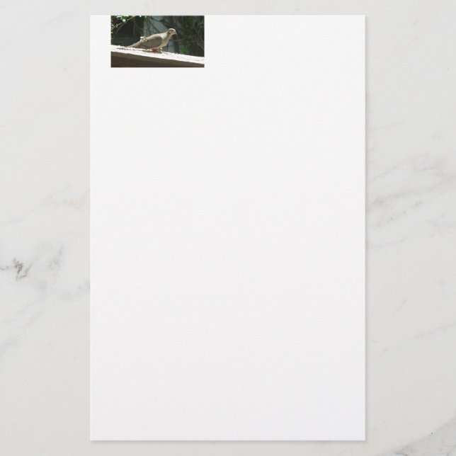 Trauertaube Briefpapier (Vorderseite)