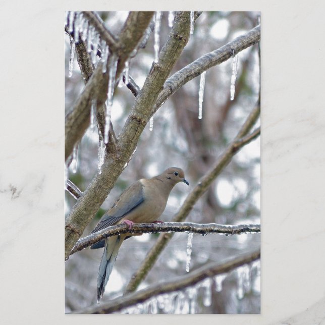 Trauertaube Briefpapier (Vorderseite)