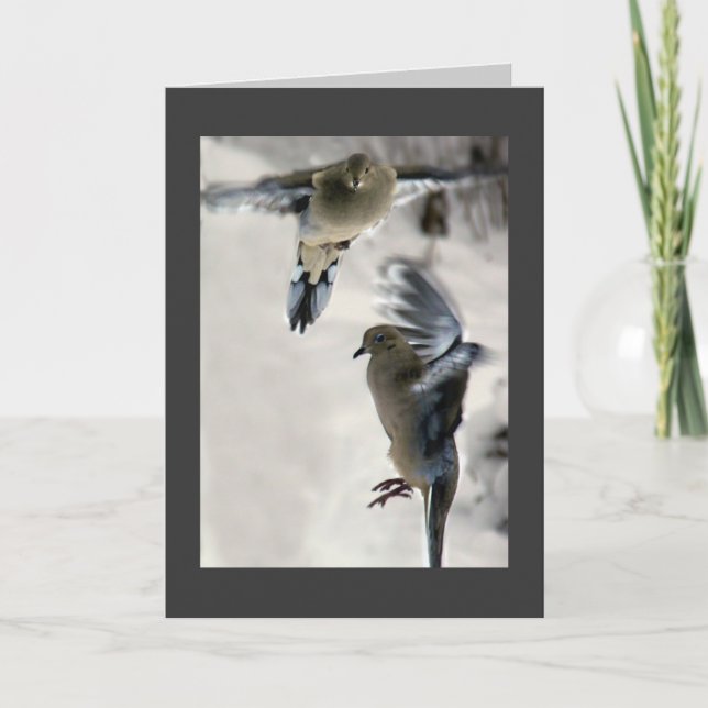 Trauertaube Feiertagskarte (Vorderseite)