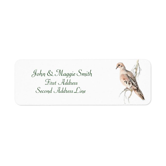 Trauertaube/ Schildkrötentaube, Bird, Adressetiket (Vorne)