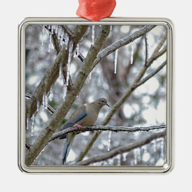Trauertaube Silbernes Ornament (Vorne)