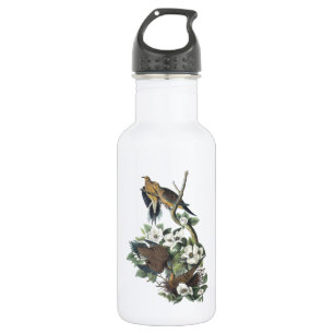 Trauertaube von Audubon Trinkflasche