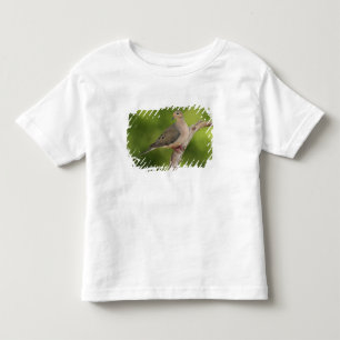 Trauertaube, Zenaida macroura Kleinkind T-shirt