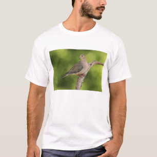 Trauertaube, Zenaida macroura T-Shirt