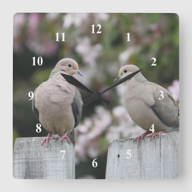 Trauertauben-Foto Quadratische Wanduhr (Vorderseite)