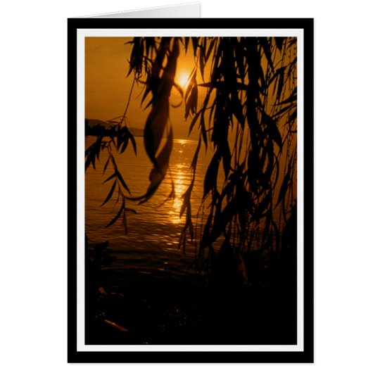 Trauerweide mit Sonnenuntergang Karte