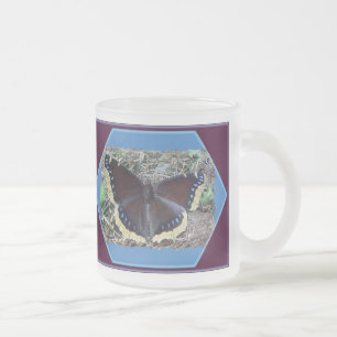 Trauerwolke-Schmetterling Mattglastasse