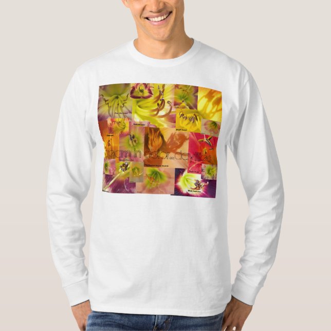 Traum in der Farbe T-Shirt (Vorderseite)