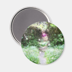 Traum Magnet