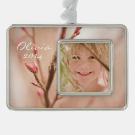 Träume vom Frühling Rahmen-Ornament Silber