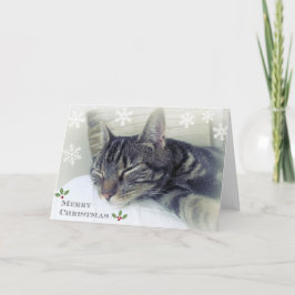 Träumen einer weißes Weihnachtskarte Feiertagskarte