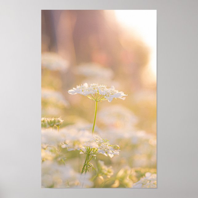 Träumen mit den Blumen Poster (Vorne)