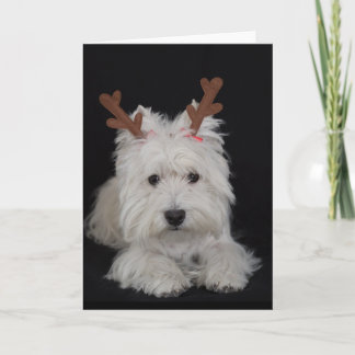 Träumen Sie die pesky westie Weihnachtskarte Feiertagskarte