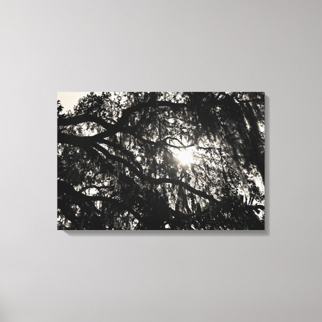 Träumen unter dem Eichenbaum umhüllte Leinwand (Vorderseite)