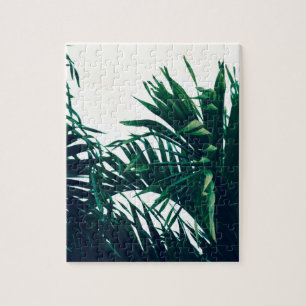 Träumen von Costa Rica