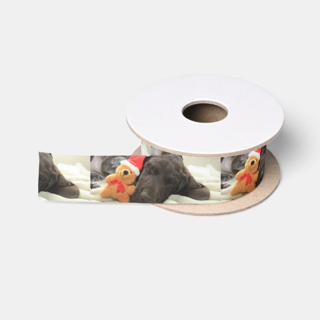 Träumen von Sankt - Deutscher Shorthair Welpe Satinband (Spule)