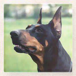 Träumerische Dobermannpinscher-Gesichts-Malerei Glasuntersetzer