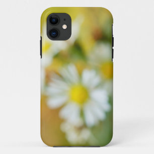 Träumerische Gänseblümchen title_seo2
