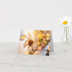 Träumerische Gänseblümchen-Fine-Art-Foto Karte