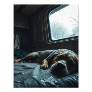 Träumerischer RV-Hundeschlaf Fotodruck