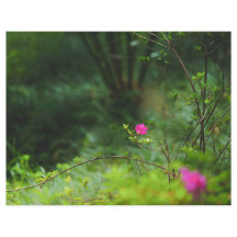 Träumerisches Waldblumen-Scrapbook-Papier