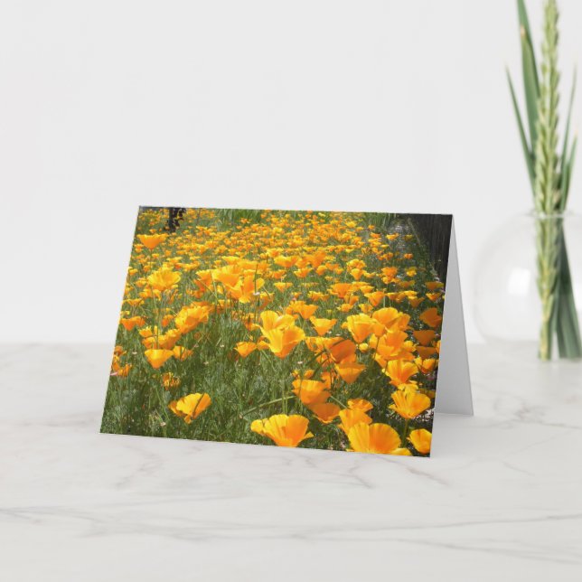 Traumfeld Karte (Vorderseite)