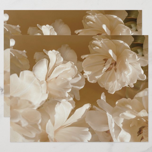 Traumhaft beige floral Elegantes Scrapbook Papier (Vorne/Hinten)